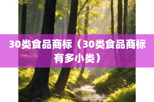 30类食品商标（30类食品商标有多小类）