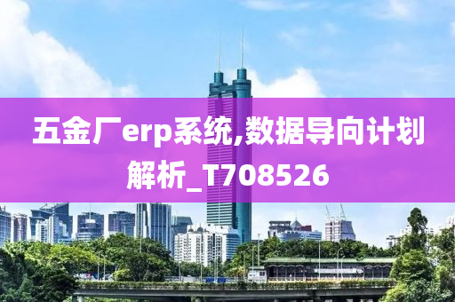 五金厂erp系统,数据导向计划解析_T708526