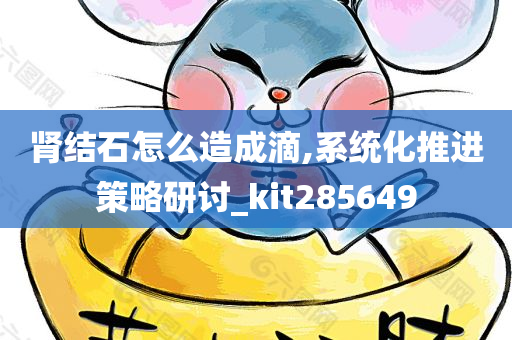 肾结石怎么造成滴,系统化推进策略研讨_kit285649