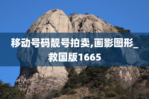 移动号码靓号拍卖,画影图形_救国版1665