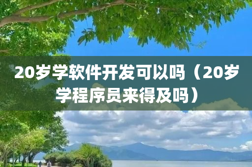 20岁学软件开发可以吗（20岁学程序员来得及吗）