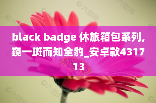 black badge 休旅箱包系列,窥一斑而知全豹_安卓款431713