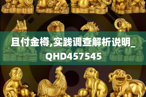 且付金樽,实践调查解析说明_QHD457545