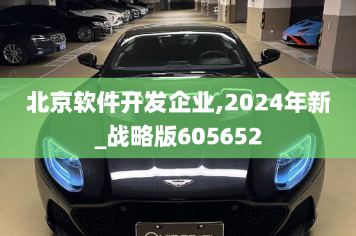 北京软件开发企业,2024年新_战略版605652