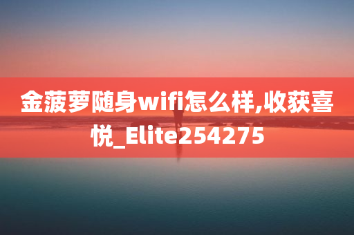 金菠萝随身wifi怎么样,收获喜悦_Elite254275