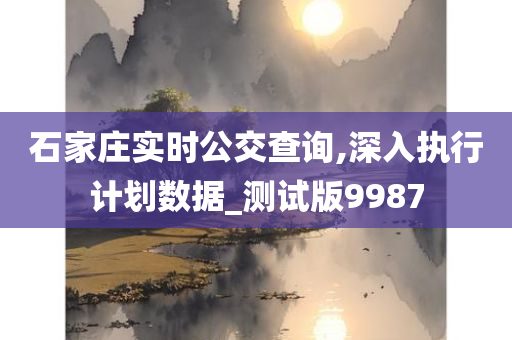 石家庄实时公交查询,深入执行计划数据_测试版9987