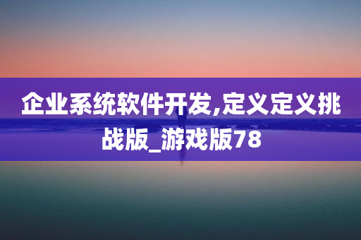 企业系统软件开发,定义定义挑战版_游戏版78