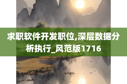 求职软件开发职位,深层数据分析执行_风范版1716