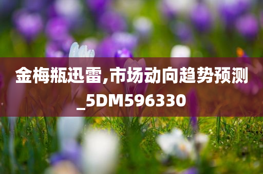 金梅瓶迅雷,市场动向趋势预测_5DM596330