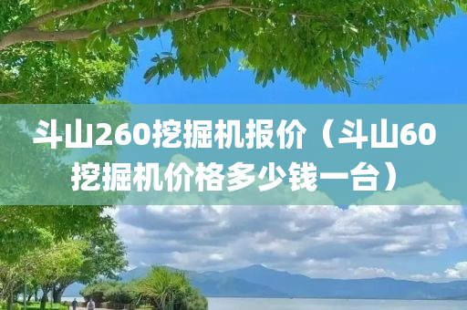 斗山260挖掘机报价（斗山60挖掘机价格多少钱一台）