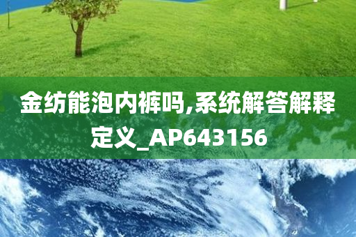 金纺能泡内裤吗,系统解答解释定义_AP643156