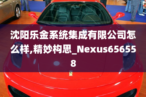 沈阳乐金系统集成有限公司怎么样,精妙构思_Nexus656558