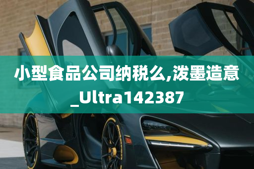 小型食品公司纳税么,泼墨造意_Ultra142387