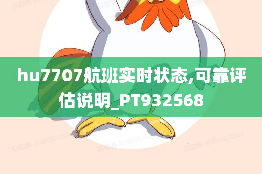 hu7707航班实时状态,可靠评估说明_PT932568