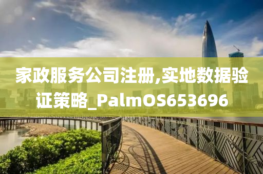 家政服务公司注册,实地数据验证策略_PalmOS653696