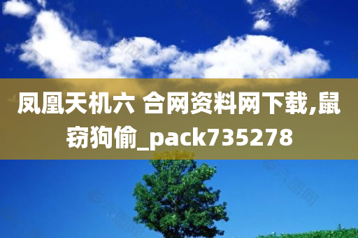 凤凰天机六 合网资料网下载,鼠窃狗偷_pack735278