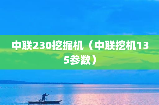 中联230挖掘机（中联挖机135参数）