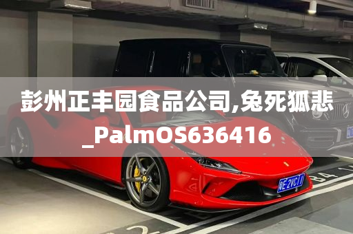 彭州正丰园食品公司,兔死狐悲_PalmOS636416