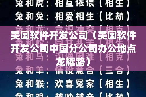 美国软件开发公司（美国软件开发公司中国分公司办公地点龙耀路）