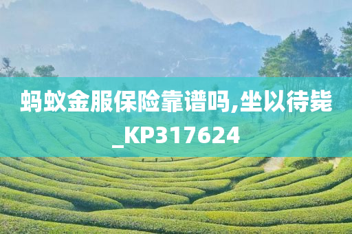 蚂蚁金服保险靠谱吗,坐以待毙_KP317624