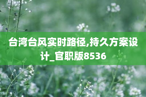 台湾台风实时路径,持久方案设计_官职版8536