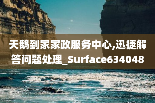 天鹅到家家政服务中心,迅捷解答问题处理_Surface634048