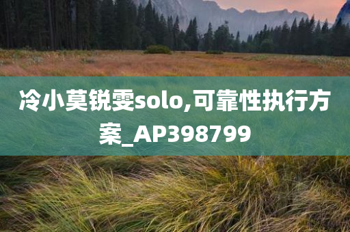 冷小莫锐雯solo,可靠性执行方案_AP398799