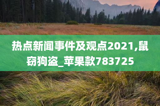 热点新闻事件及观点2021,鼠窃狗盗_苹果款783725