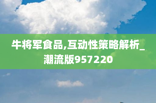 牛将军食品,互动性策略解析_潮流版957220