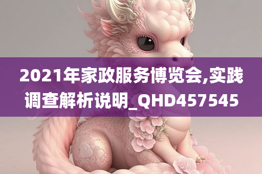 2021年家政服务博览会,实践调查解析说明_QHD457545