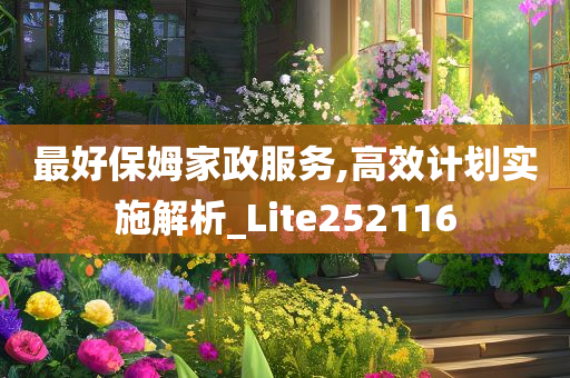 最好保姆家政服务,高效计划实施解析_Lite252116