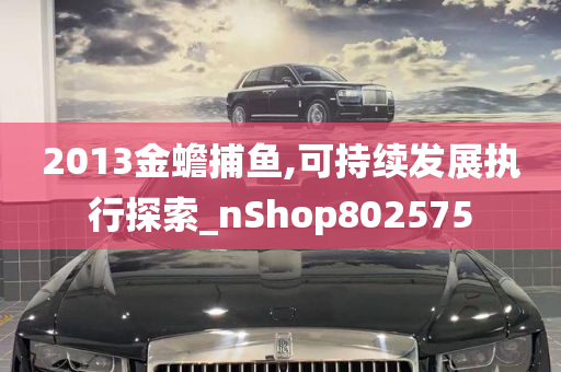 2013金蟾捕鱼,可持续发展执行探索_nShop802575