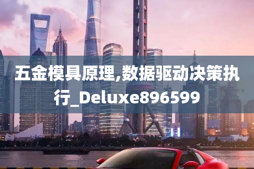 五金模具原理,数据驱动决策执行_Deluxe896599