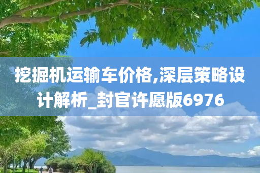 挖掘机运输车价格,深层策略设计解析_封官许愿版6976