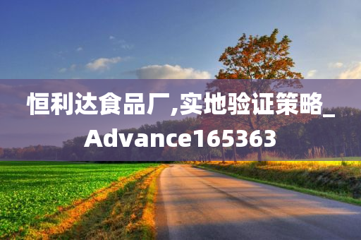 恒利达食品厂,实地验证策略_Advance165363