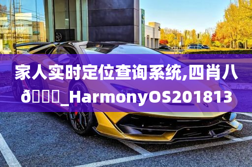 家人实时定位查询系统,四肖八🐎_HarmonyOS201813