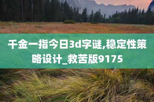 千金一指今日3d字谜,稳定性策略设计_救苦版9175