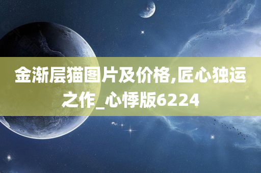 金渐层猫图片及价格,匠心独运之作_心悸版6224