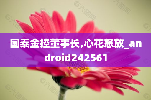 国泰金控董事长,心花怒放_android242561