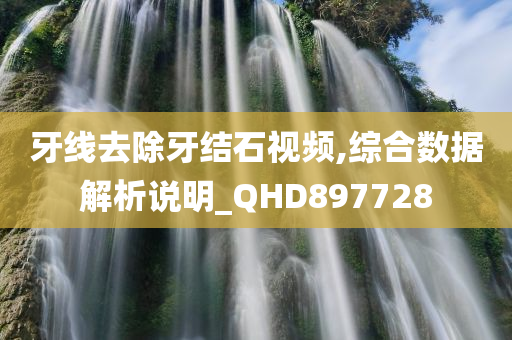 牙线去除牙结石视频,综合数据解析说明_QHD897728