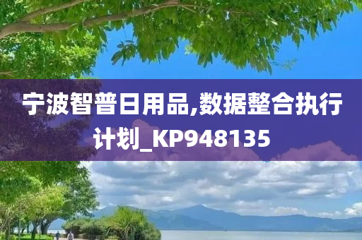 宁波智普日用品,数据整合执行计划_KP948135