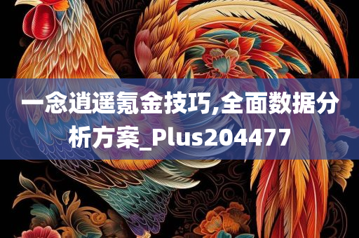 一念逍遥氪金技巧,全面数据分析方案_Plus204477