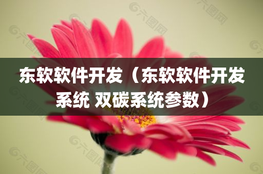 东软软件开发（东软软件开发系统 双碳系统参数）