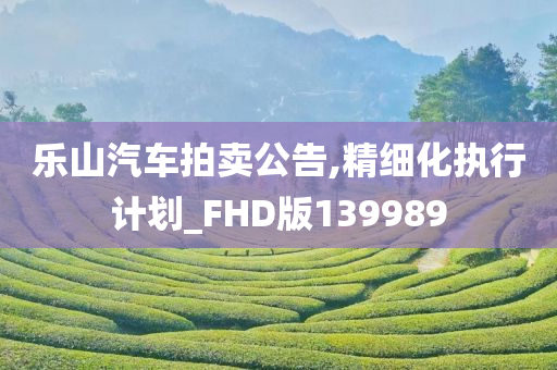 乐山汽车拍卖公告,精细化执行计划_FHD版139989