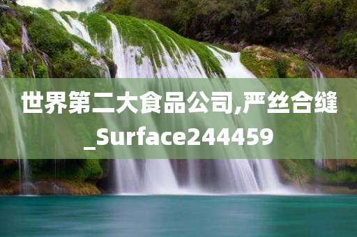 世界第二大食品公司,严丝合缝_Surface244459