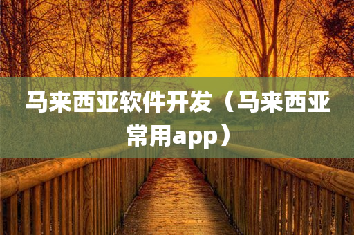 马来西亚软件开发（马来西亚常用app）