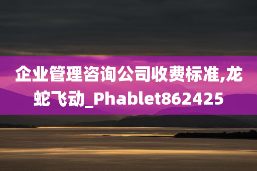 企业管理咨询公司收费标准,龙蛇飞动_Phablet862425