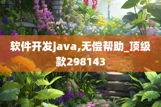 软件开发java,无偿帮助_顶级款298143