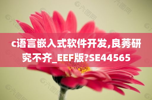 c语言嵌入式软件开发,良莠研究不齐_EEF版?SE44565