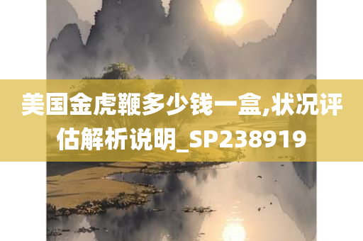 美国金虎鞭多少钱一盒,状况评估解析说明_SP238919